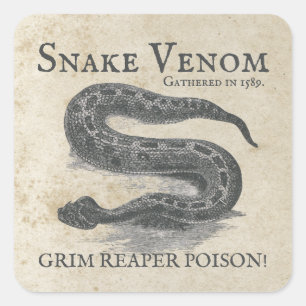 Halloween Snake Venom Antiek Apothecary Vierkante Sticker