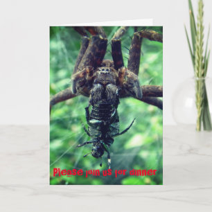 Halloween Spider Dinner Invitation Bedankkaart