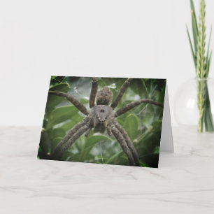 Halloween Spider Kaart