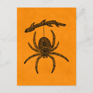  Halloween Spider Oranje Achtergrondspieren Briefkaart