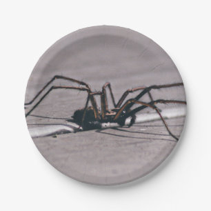 Halloween spin papier bord