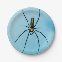 Halloween Spin