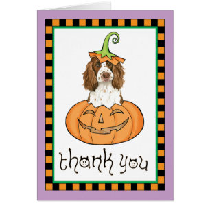 Halloween Springer Merci anglais