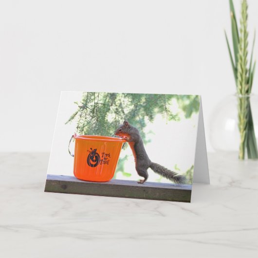 Halloween Squirrel Kaart (Voorkant)