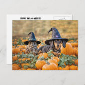 Halloween teckel en uil grappig feestdagenkaart (Voorkant / Achterkant)