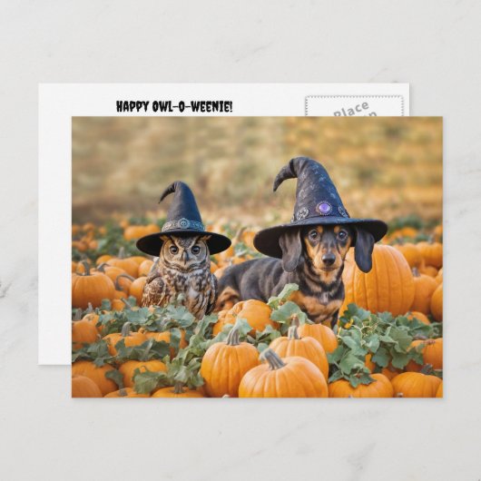 Halloween teckel en uil grappig feestdagenkaart (Voorkant / Achterkant)