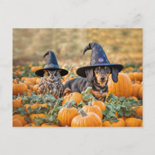 Halloween teckel en uil grappig feestdagenkaart