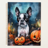 Halloween Terrier de Boston avec citrouilles effra (Devant)