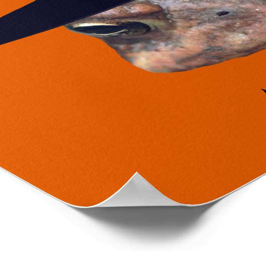 Halloween Toad Face Witch gepersonaliseerd Poster (Hoek)