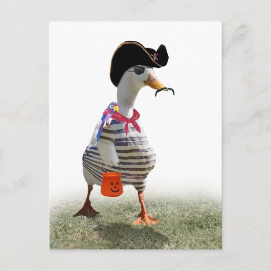Halloween Trick of Treating Pirate Duck Briefkaart (Voorkant)