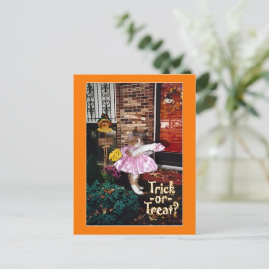 Halloween Trick-or-Treat Kat Briefkaart (Staand voorkant)