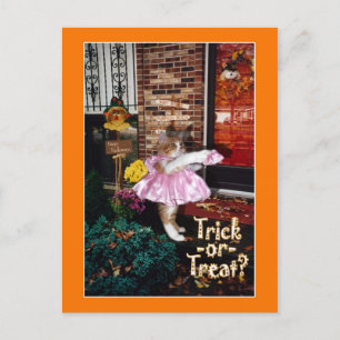 Halloween Trick-or-Treat Kat Briefkaart