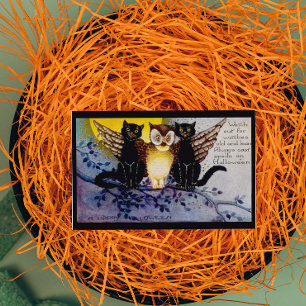 Halloween Uil en Zwarte Katten Kaart