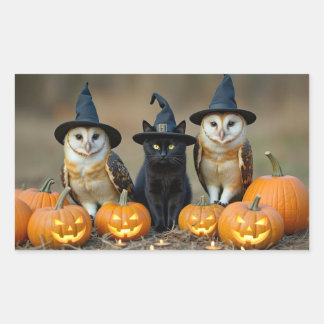 Halloween-uilen en Zwarte Kat Jack O Lantern Rechthoekige Sticker