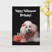 Halloween Verjaardag poedel hond kaart (Gele Bloem)