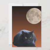Halloween Volle Maan Zwarte Kat Kaart (Achterkant)