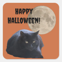 Halloween Volle Maan Zwarte Kat