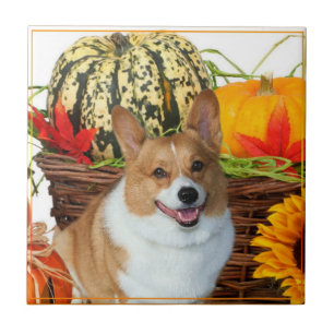 Halloween Welsh Corgi Ceramic Tile Tegeltje