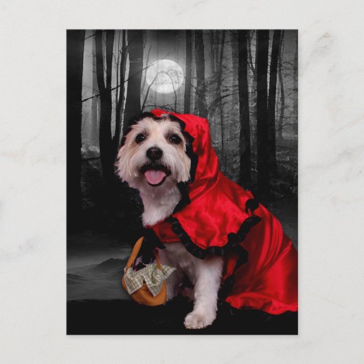 Halloween - Westie - Lady Briefkaart (Voorkant)