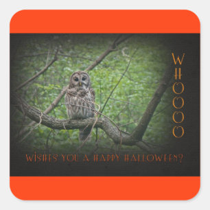Halloween Wishies - Barred Owl Vierkante Sticker
