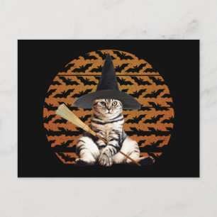 Halloween Witch Cat Briefkaart