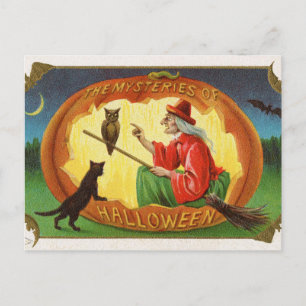 Halloween Witch Cat Uil briefkaart