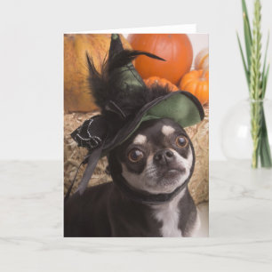Halloween Witch Dog Kaart