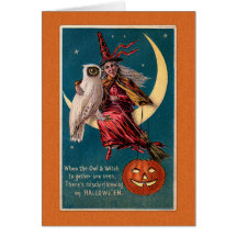  Halloween Witch en Owl