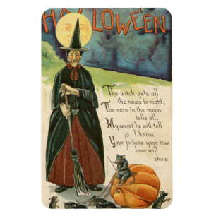 Halloween Witch Magneet