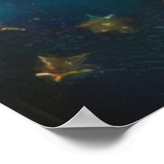  Halloween Witch Poster (Hoek)