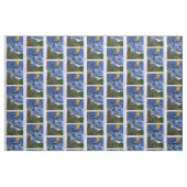 Halloween Witch Stof (Fat Quarter)