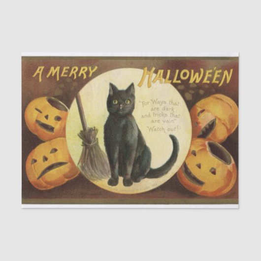 Halloween Witch's Black Cat & Pumpkins Tissuepapier (Voorkant)