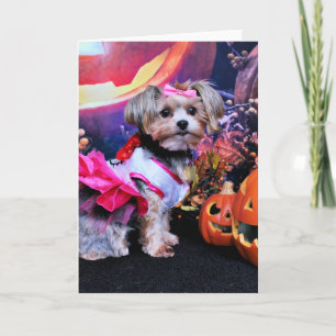 Halloween - Yorkie - Zoey Kaart