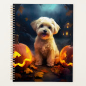 Halloween Yorkipoo avec citrouilles effrayant (Devant)