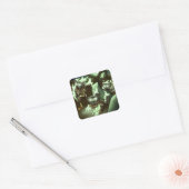 Halloween Zombie Cats Vierkante Sticker (Envelop)