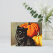  Halloween zwarte kat en pompoenen Briefkaart (Staand voorkant)