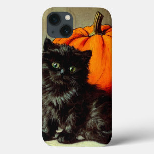 Halloween zwarte kat en pompoenen iPhone 13 Hoesje