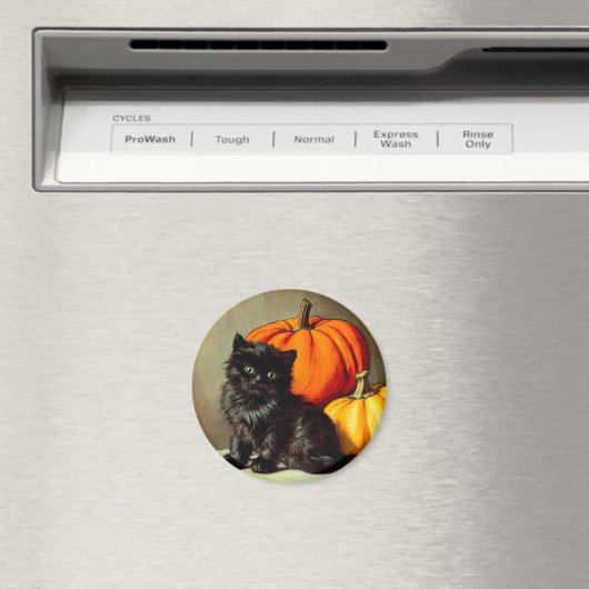Halloween zwarte kat en pompoenen Magneet (Insitu (Vaatwasser))