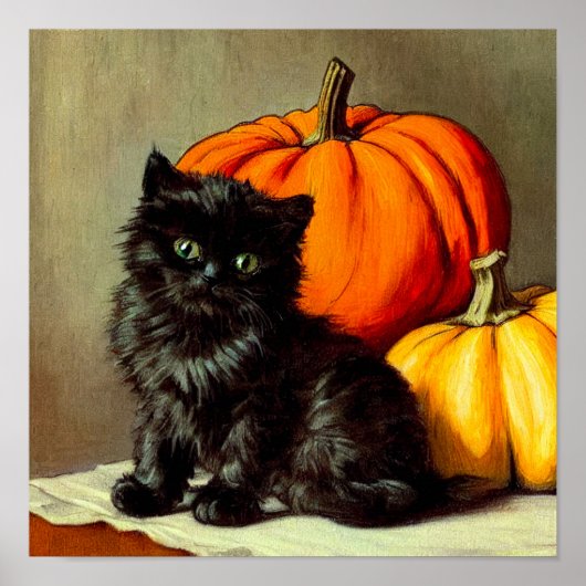 Halloween zwarte kat en pompoenen Poster (Voorkant)