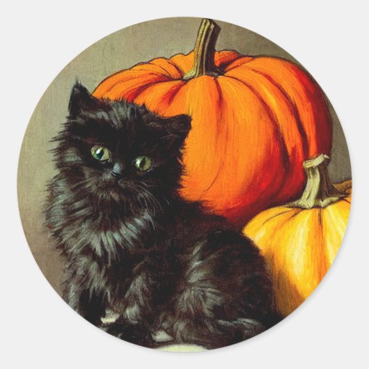 Halloween zwarte kat en pompoenen Ronde Sticker (Voorkant)
