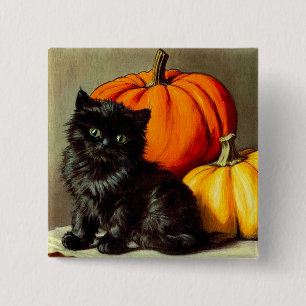 Halloween zwarte kat en pompoenen Vierkante Button 5,1 Cm