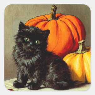  Halloween zwarte kat en pompoenen Vierkante Sticker