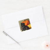 Halloween zwarte kat en pompoenen Vierkante Sticker (Envelop)