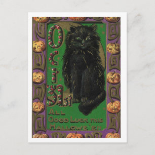 Halloween Zwarte Kat Muizen Muis Ansichtkaart Briefkaart