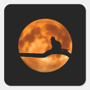 Halloween Zwarte Kat Sinaasappel Oogst Maan Sticke Vierkante Sticker
