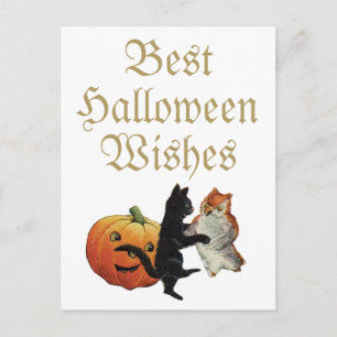 Halloween Zwarte Kat, Uil en Pompoen Briefkaart