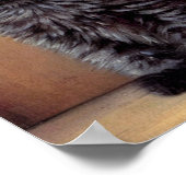 Halloween Zwarte Kitten Illustratie Poster (Hoek)