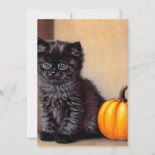 Halloween Zwarte Kitten Illustratie Save The Date