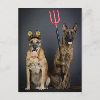 Halloweenhonden Briefkaart