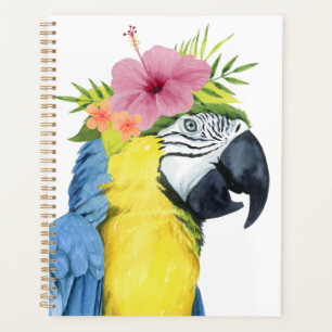 Halo tropical - Perroquet